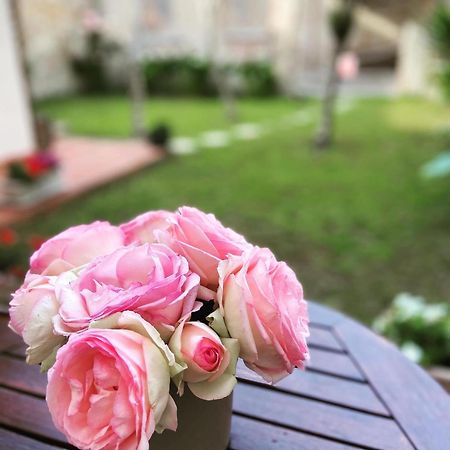 Victoria House B&B Pisa Bagian luar foto