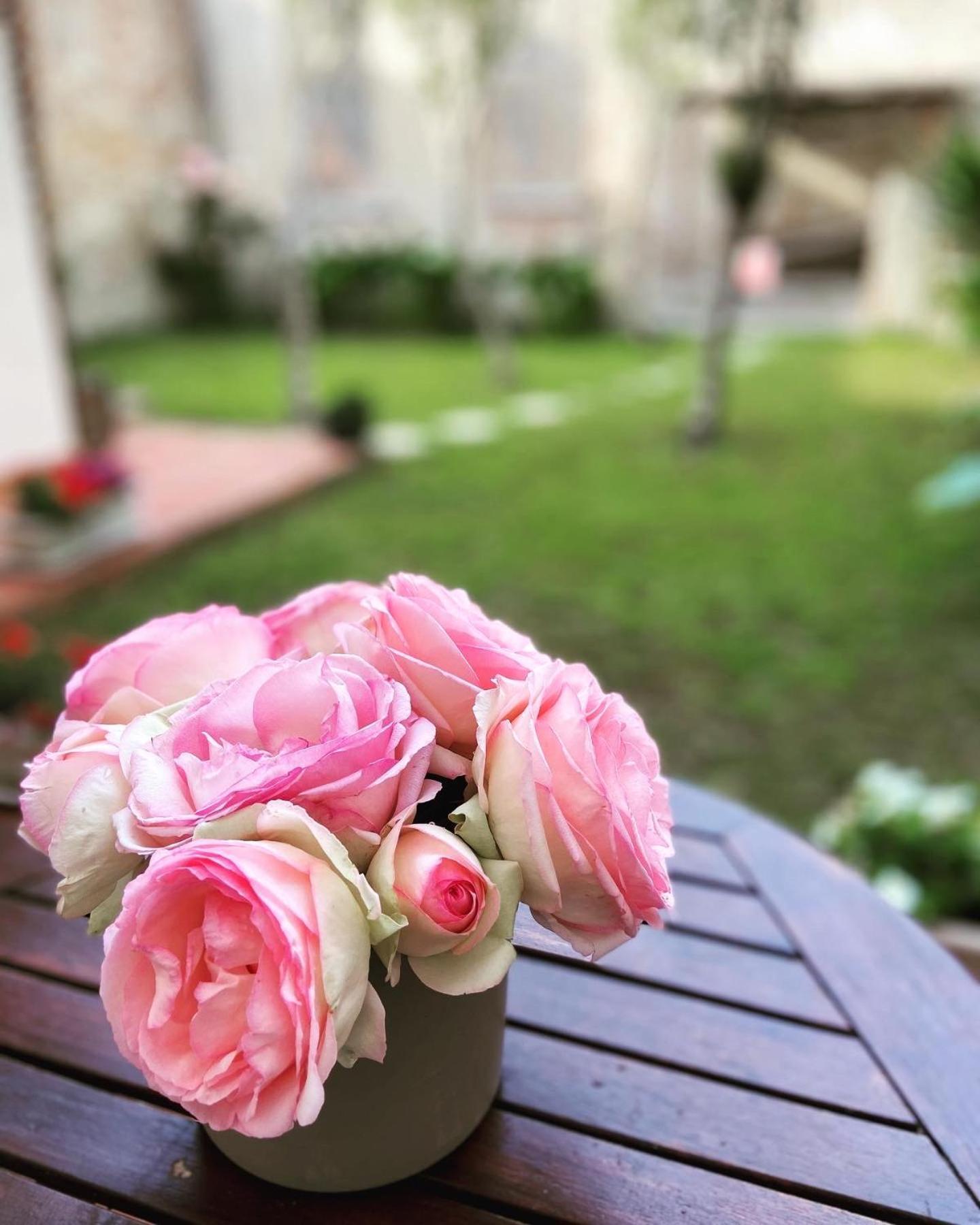 Victoria House B&B Pisa Bagian luar foto